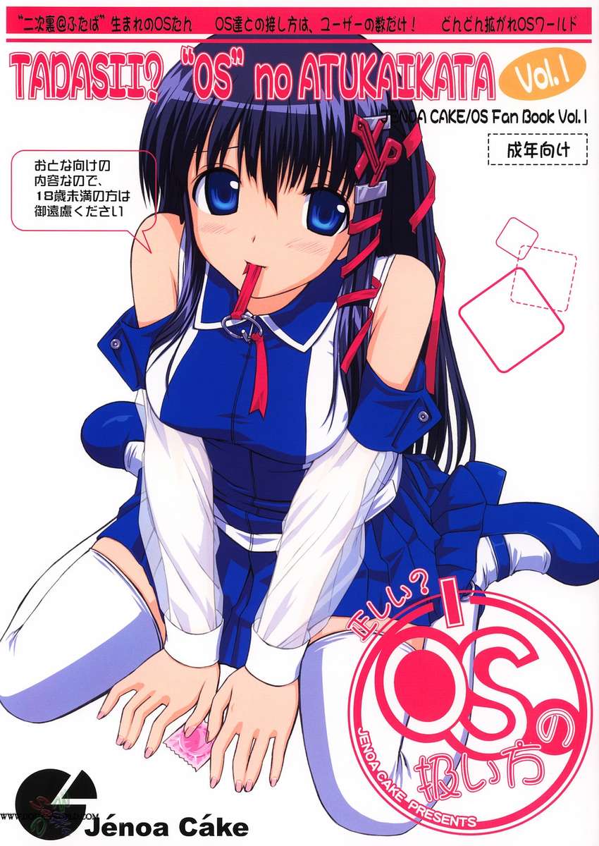 Tadashii OS no Atsukaikata